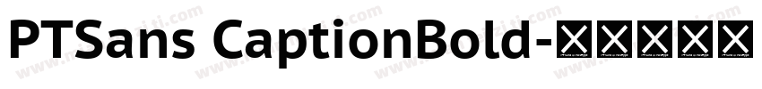 PTSans CaptionBold字体转换